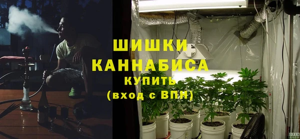 ГАЛЛЮЦИНОГЕННЫЕ ГРИБЫ Россошь