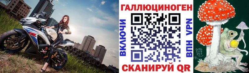 гидра как войти  Чкаловск  Псилоцибиновые грибы Cubensis  где продают  
